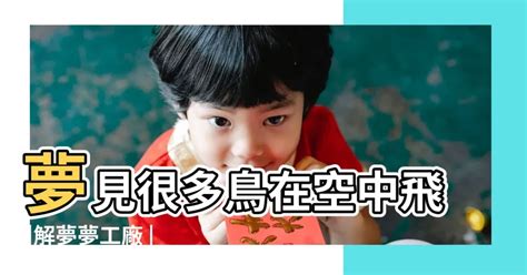 夢到家裡很多鳥|周公解夢夢見鳥